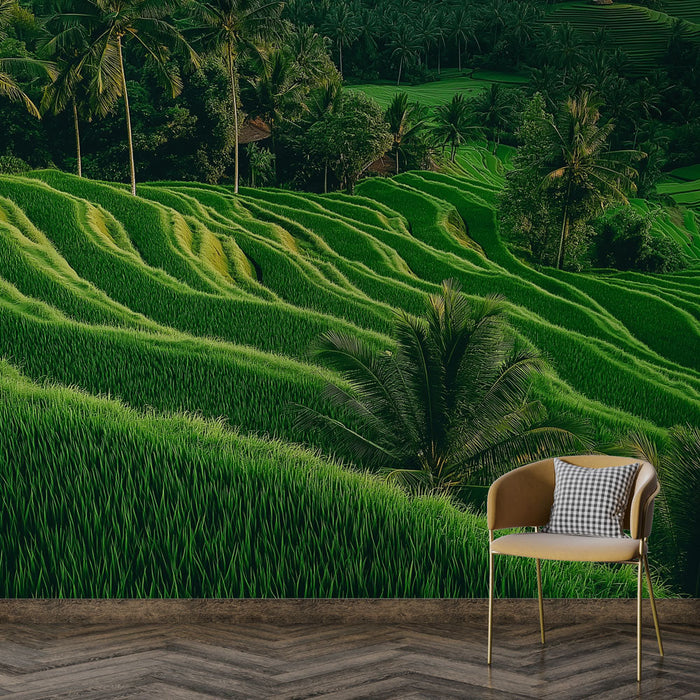 Tapet campuri de orez | O vedere spectaculoasă a teraselor verzi de orez
