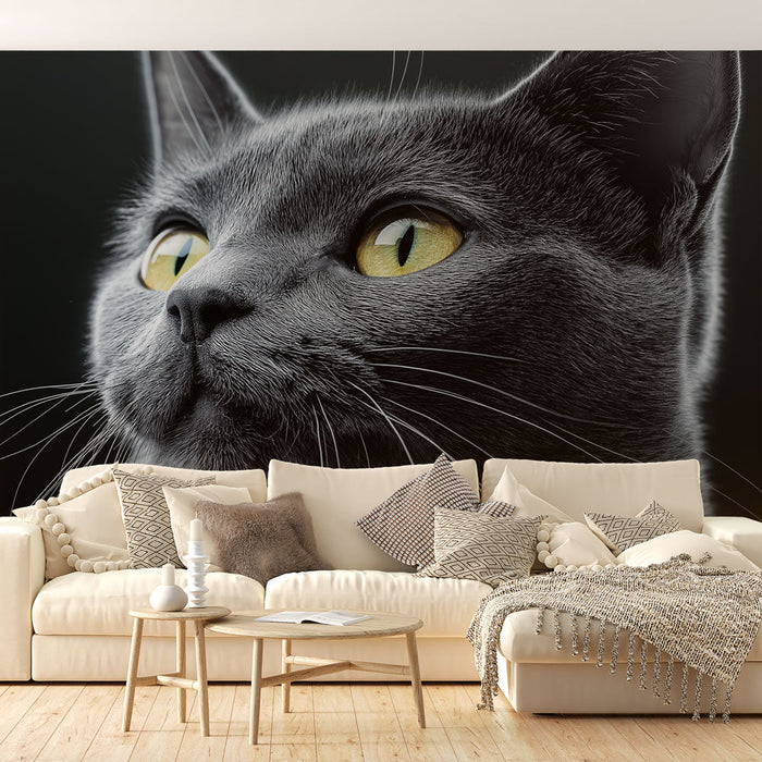 Tapetti elegant-cat | Muotokuva mustasta kissasta salaperäisillä keltaisilla silmillä