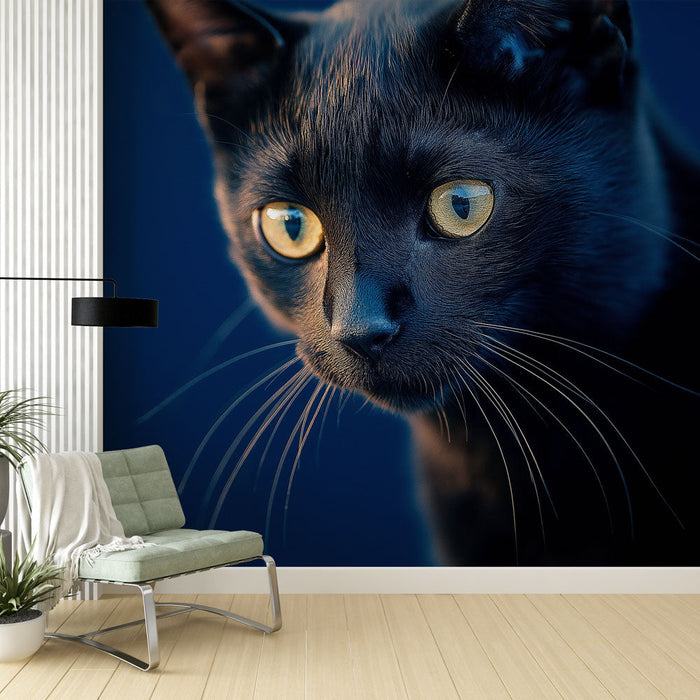 Mural Wallpaper black cat | Captivating portrait of a black cat with golden eyes