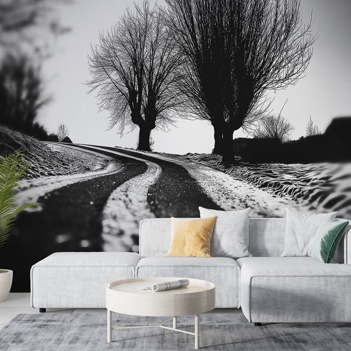 Tapete snowy path | Windende Straße gesäumt von Bäumen im Winter