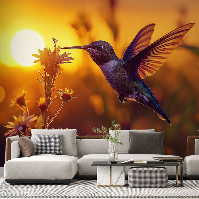 Falikép kolibri | Kolibrik repülés közben naplementekor