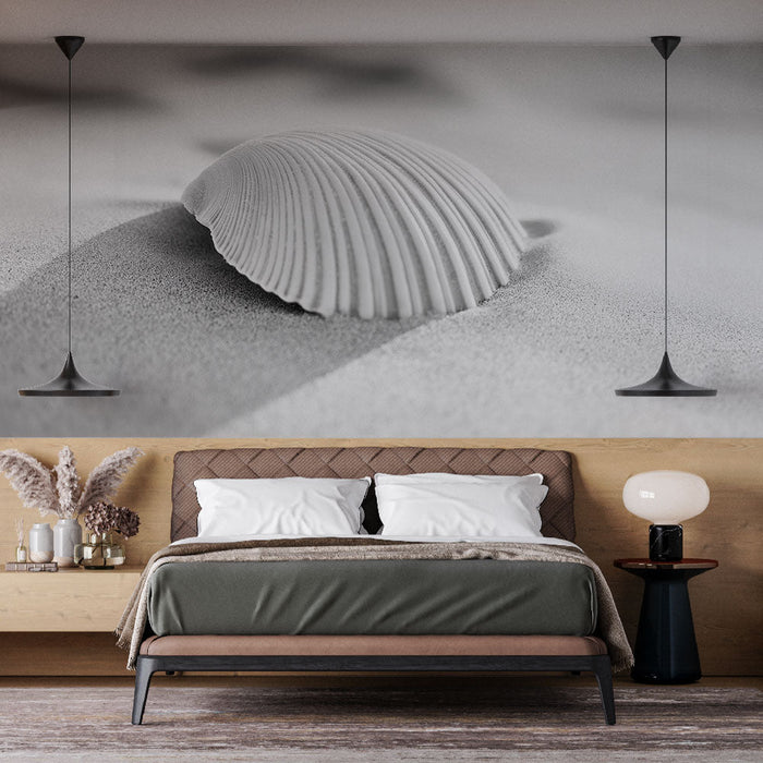 Papel de parede concha do mar | Delicada concha branca na areia branca