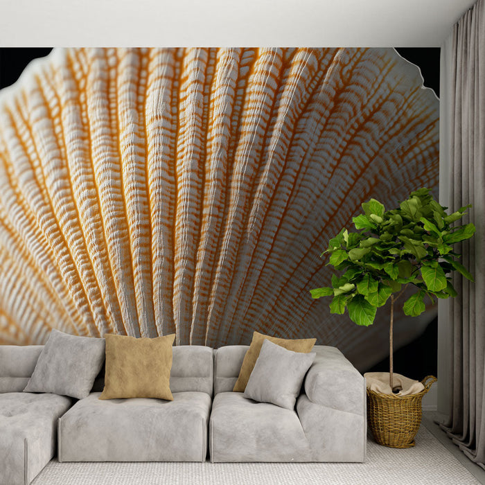 Papel de parede concha do mar | Concha do mar com padrões refinados