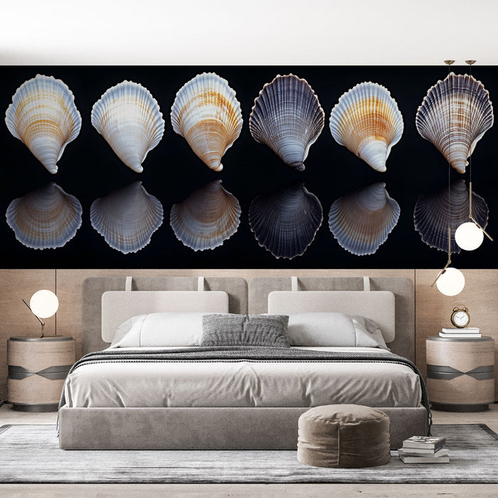 Stenska poslikava lupina | Set školjk na črnem ozadju