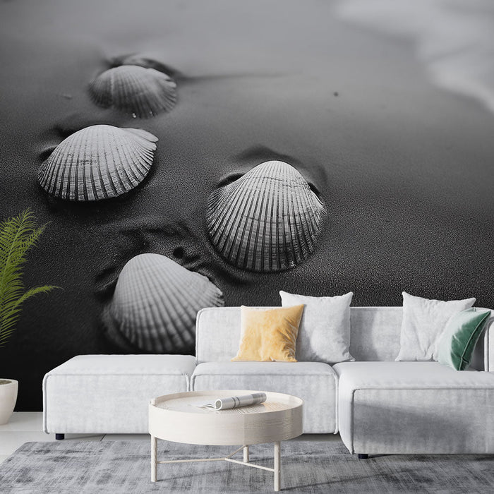 Papel de parede conchas do mar | Conchas brancas delicadamente colocadas na areia preta