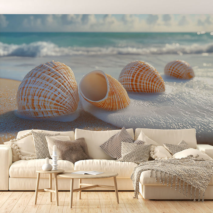 Papel de parede conchas do mar | Conchas do mar em uma praia ensolarada