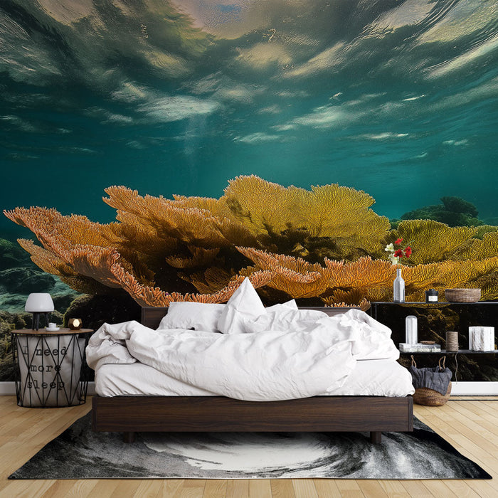 Nástěnná tapeta podvodní korály | Krása barevných korálů a vln