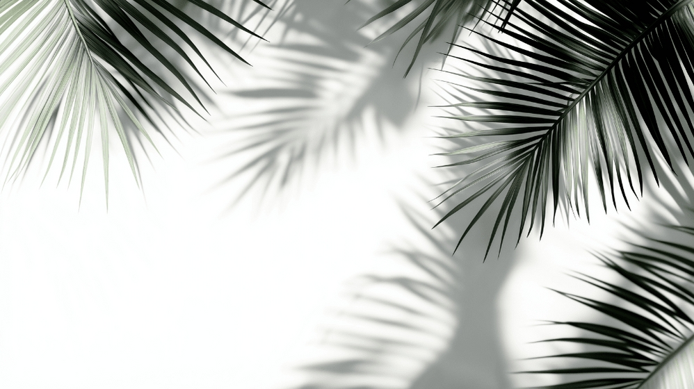 Black and White Palm Tree Mural Wallpaper | Panoramic Decor — WonderMural