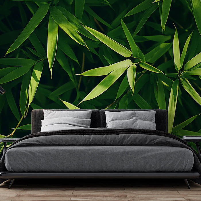 Mural Wallpaper green foliage | Bamboo leaves in panoramic