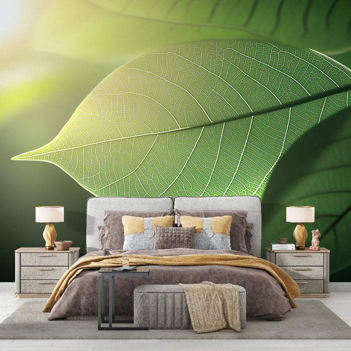 Green foliage Mural Wallpaper | Sun through a leaf