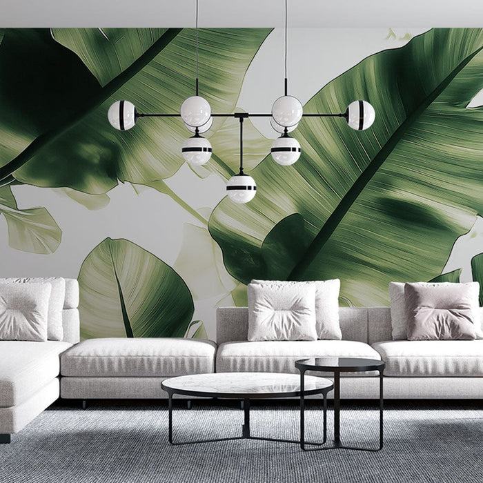 Tapeta banana leaf | Banana leaves u nježnoj nijansi