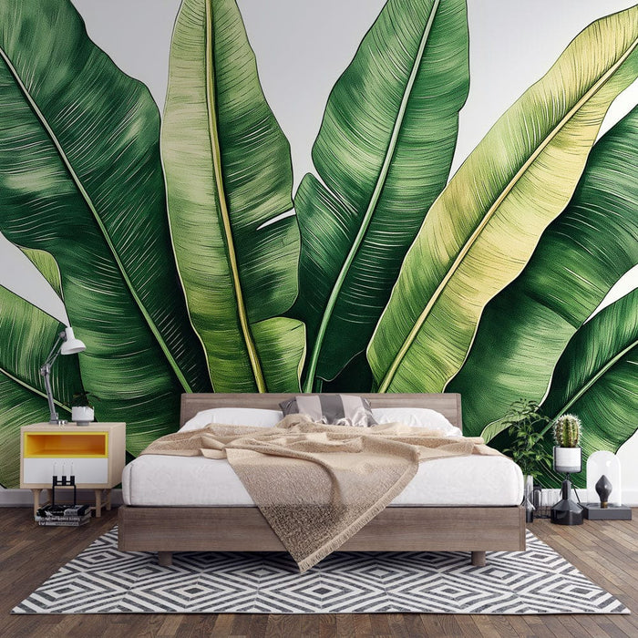 Falfestmény tapéta banánlevél | Luxus banánlevelek fehér háttéren