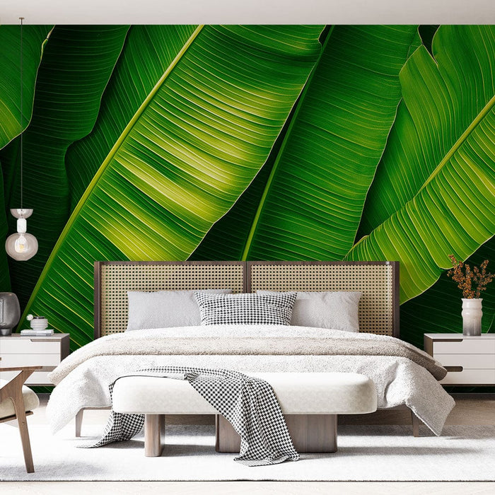 Seinapilt banaanileht | Lopsakad ja tekstuuriga rohelised lehed