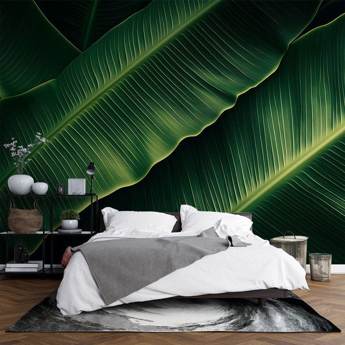 Muraal tapeet banaanileht | Lopsakad rohelised lehed ja rafineeritud tekstuurid