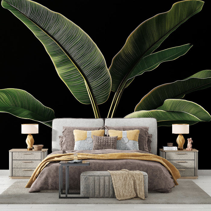 Tapeta banana leaf | Bujno zelene liste na črnem ozadju