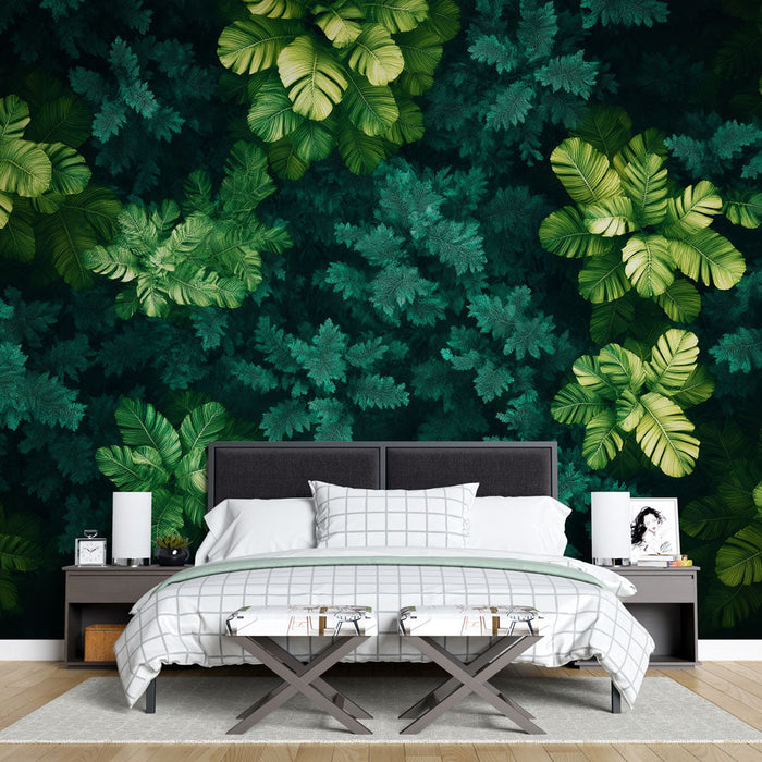 Tapeta banana leaf | Bohatství bujného listí v zelených odstínech