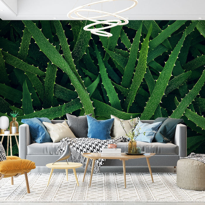 Carta da parati foglia di banana | Carta da parati foglia di aloe vera