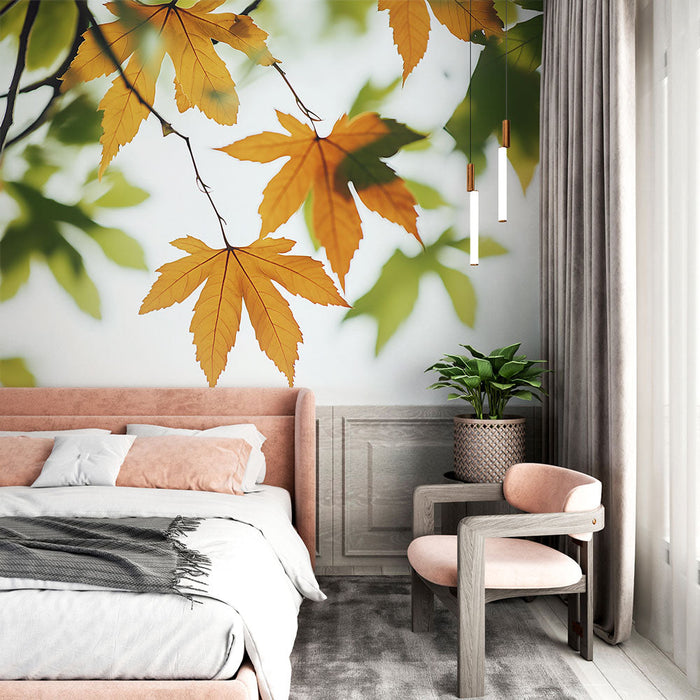 Falikép őszi levelek | Narancs és zöld juharlevelek világos háttéren