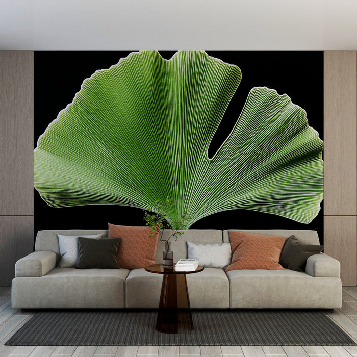 Mural Wallpaper leaves | Ginkgo biloba leaf on black background
Fototapet yaprakları | Siyah arka plan üzerinde Ginkgo biloba yaprağı