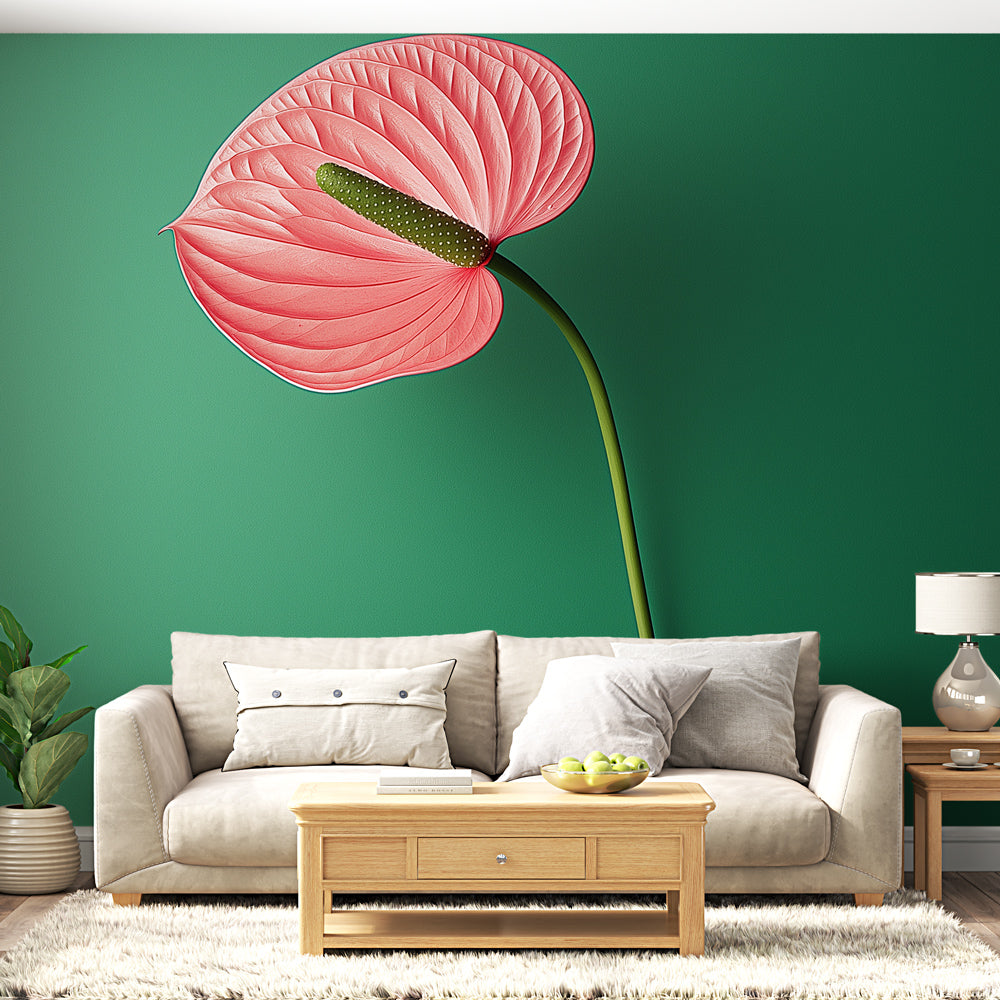 anthurium rosa chiaro Carta da parati Fiori di Anturio Rosa