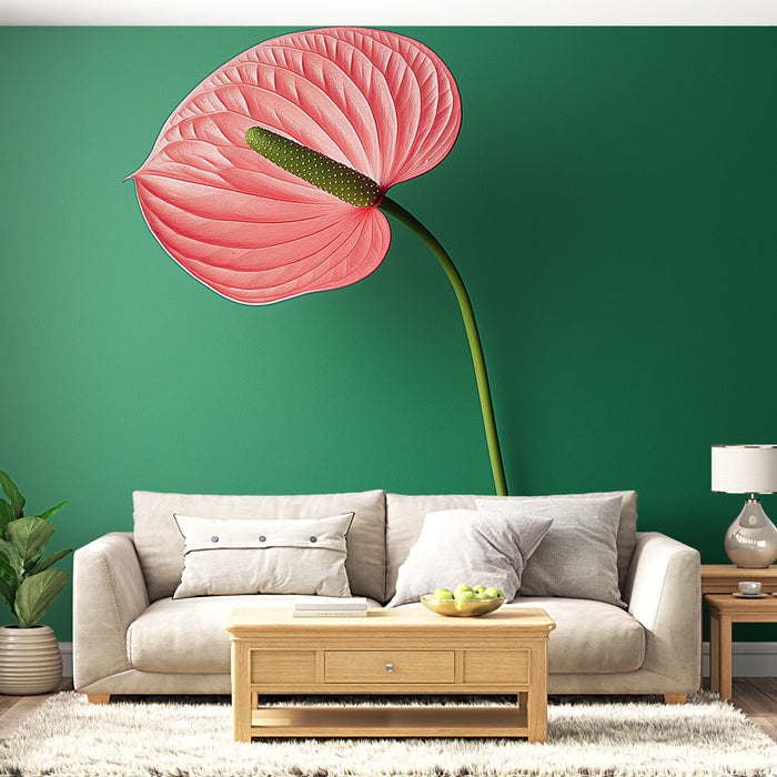 Tapet Blomst | Pink Anthurium Blomster på en Grøn Baggrund