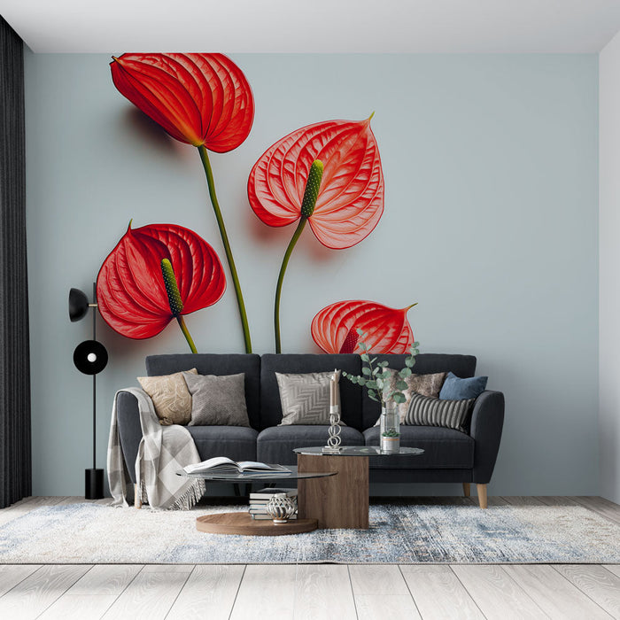 Foto Behang bloemen | Elegante rode Anthurium bloemen op een witte achtergrond