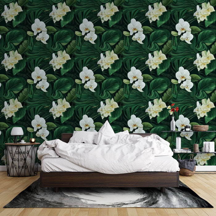 Fototapeet lilleline | Valged orhideed ja luksuslik lehestik