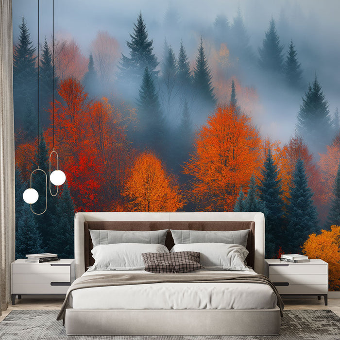 Mural Wallpaper autumn forest | Trees with vibrant colors in a mysterious mist