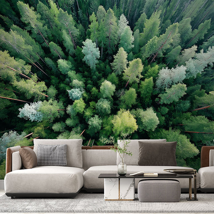 Mural Wallpaper dense forest | Aerial view of a lush forest