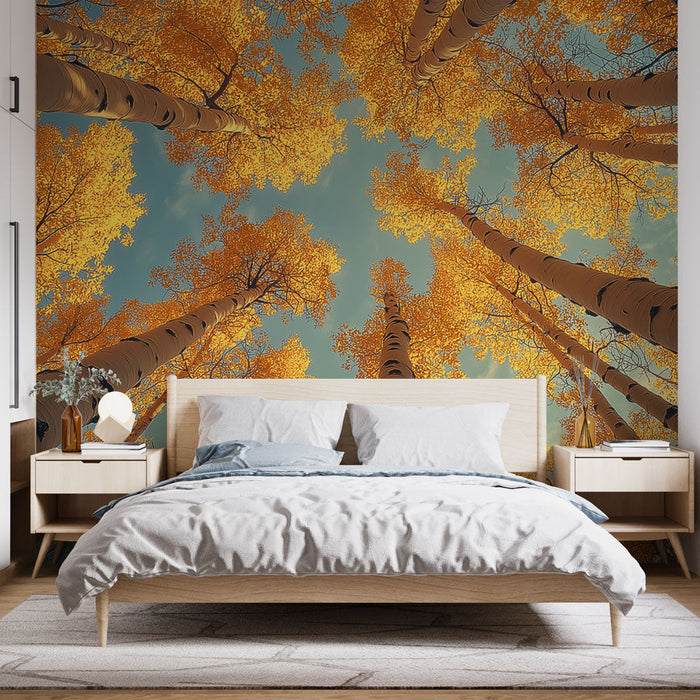 Tapeta zlatý les | Stromy s plamenným listím pod modrou oblohou