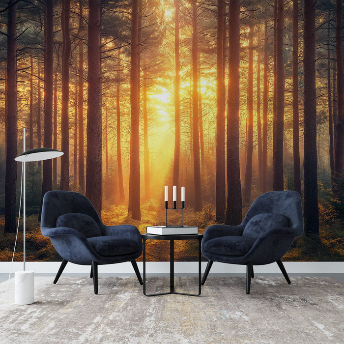 Nástěnná tapeta slunečný les | Teplá atmosféra v přírodě