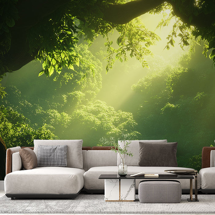 Tapeta luminous-forest | Kaskáda světla skrze bujnou zeleň