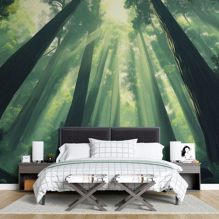 Tapeta bujný les | Světla v lese majestátních sekvojí