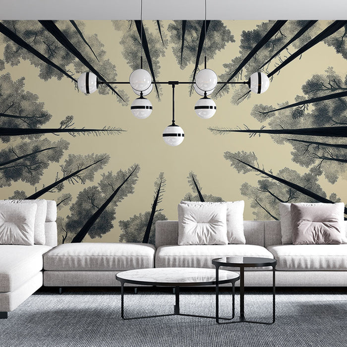 Papel de parede vista da floresta do chão | Árvores majestosas se elevando em direção ao céu