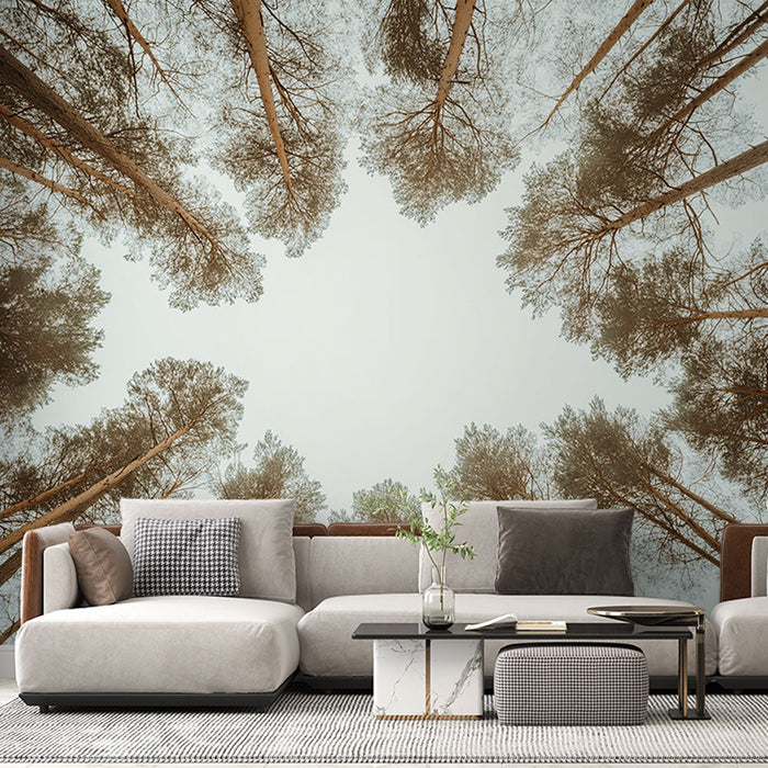 Tapetti metsä | Mahtava näkymä metsään, jossa on mahtavia puita