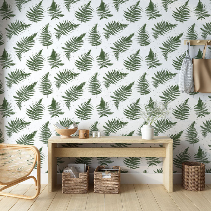 Tapeta z paprotkami | Zielone paprocie na białym tle