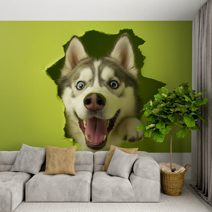 Falikép husky | 3D kijön a falból