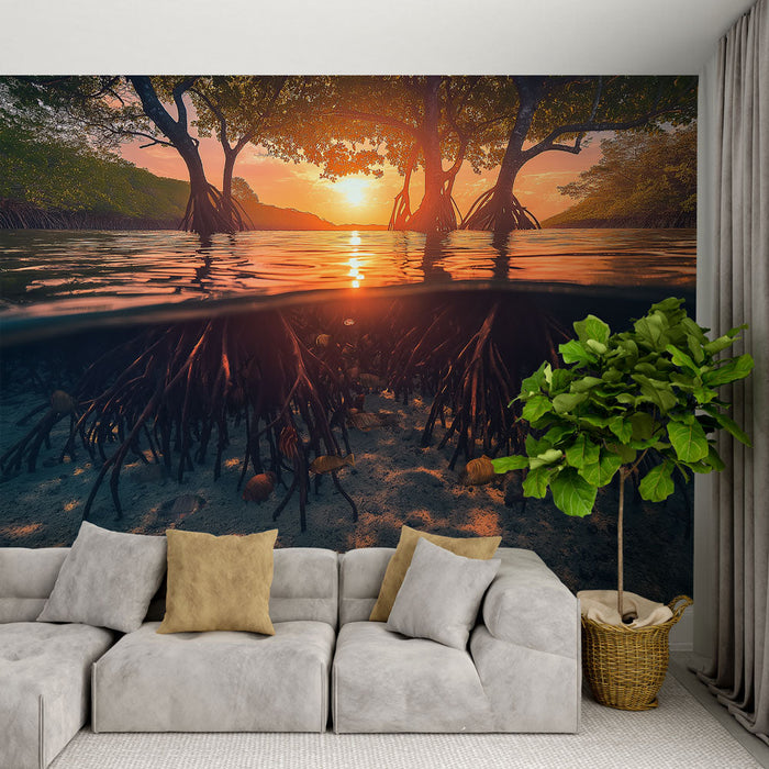 Tapete mangrove | Mangrovenwurzeln bei Sonnenuntergang