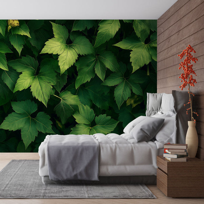 Fototapet duvar bitkisi | Bol ve dokulu yapraklık