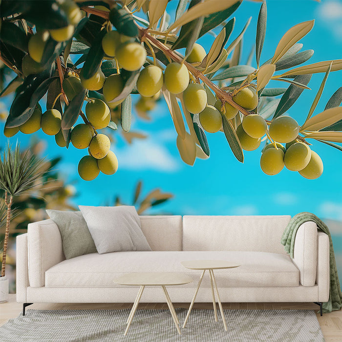 Oljčna tapeta | Oljčna veja z zelenimi oljkami pod modrim nebom