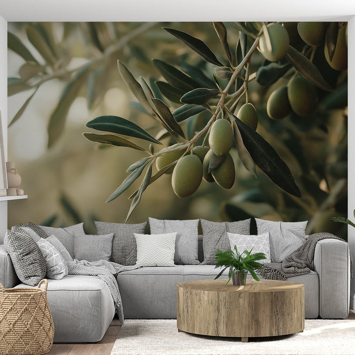 Tapete olive-tree | Ramos de oliveira com azeitonas verdes vibrantes