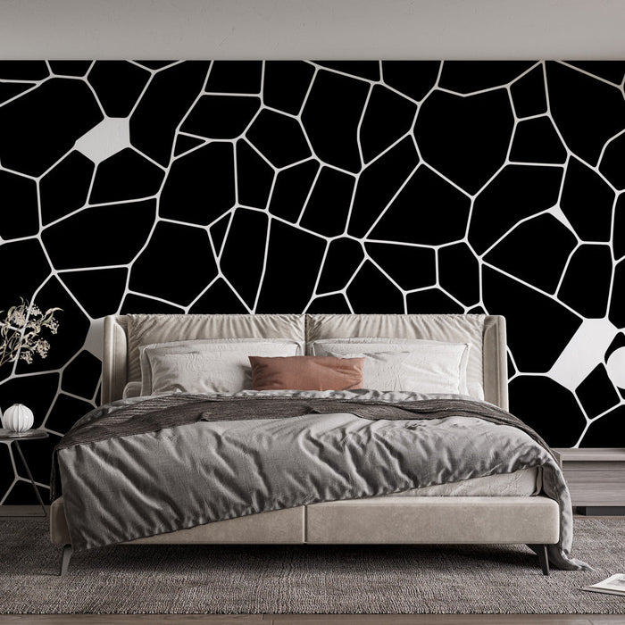 Fototapet panoramisk abstrakt | Revner i sort og hvid