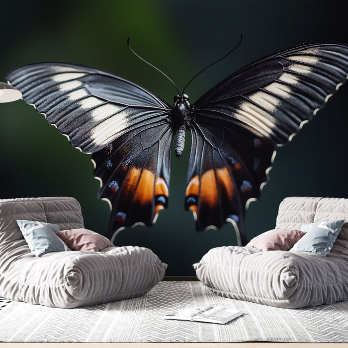 Mural Wallpaper butterfly | Black butterfly with colorful wings