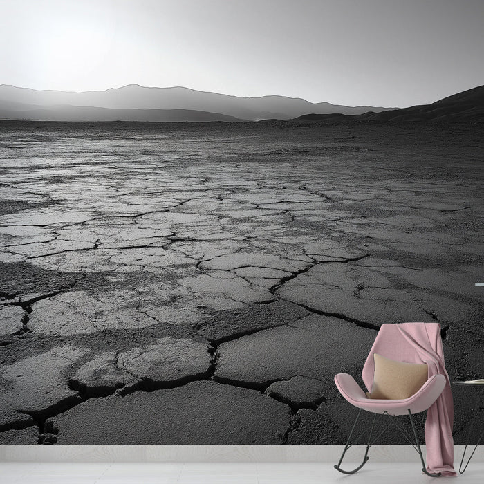 Tapet peisaj arid | Deșert monocrom cu texturi detaliate