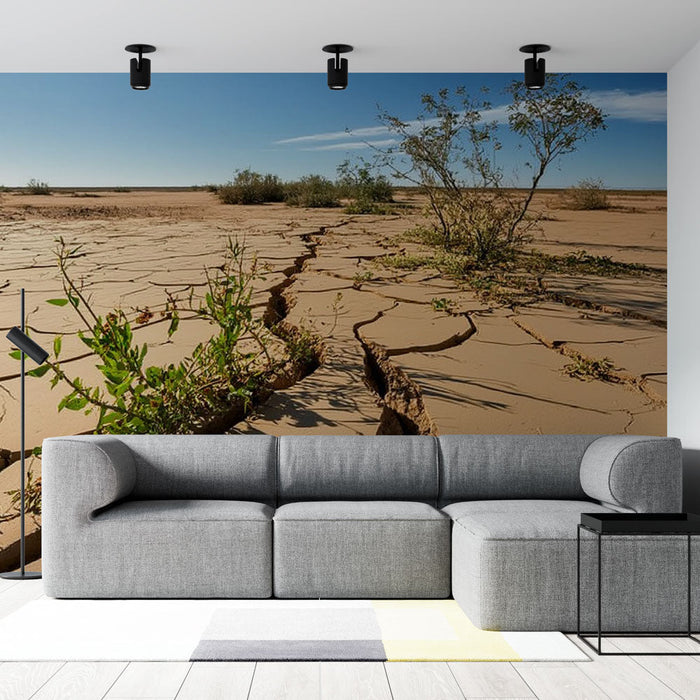 Tapetti kuiva maisema | Halkeillut maa kestävällä kasvillisuudella