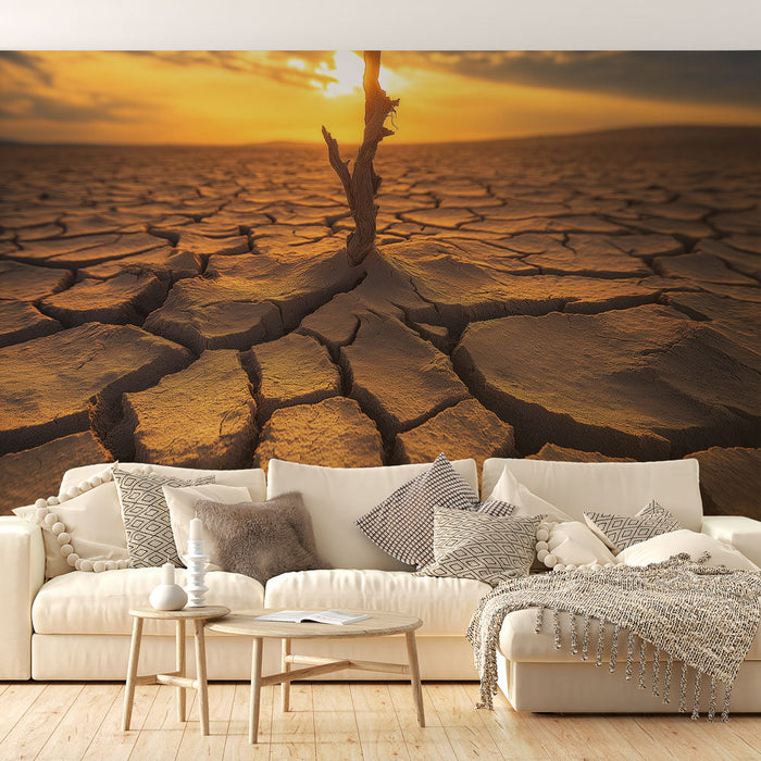 Papel de parede de paisagem árida | Terras rachadas ao pôr do sol