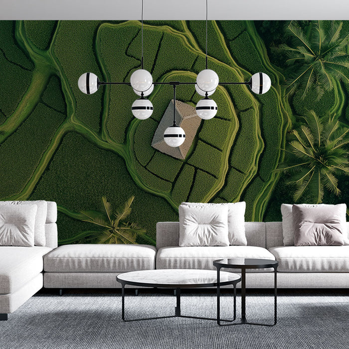 Tapeta rižev krajolik | Hiša sredi bujnih zelenih riževih polj