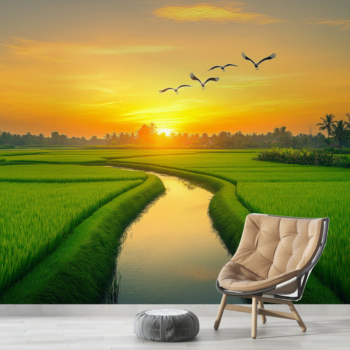 Rizsföld tájkép tapéta | Lenyűgöző naplemente a buja zöld rizsföldek felett
