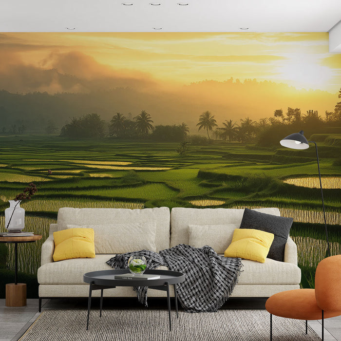 Papel de parede paisagem de campos de arroz | Brilho dourado do nascer do sol sobre campos de arroz exuberantes