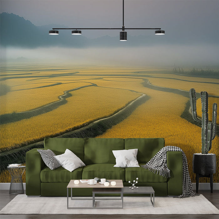 Ταπετσαρία τοπίου από ορυζώνες | Χρυσές αναβαθμίδες ορυζώνων στην πρωινή ομίχλη